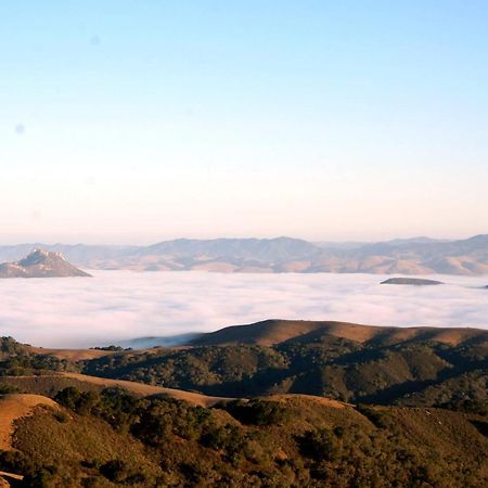 סן לואיס אוביספו Mountain Top Getaway, Best View In Slo! - Whole House מראה חיצוני תמונה